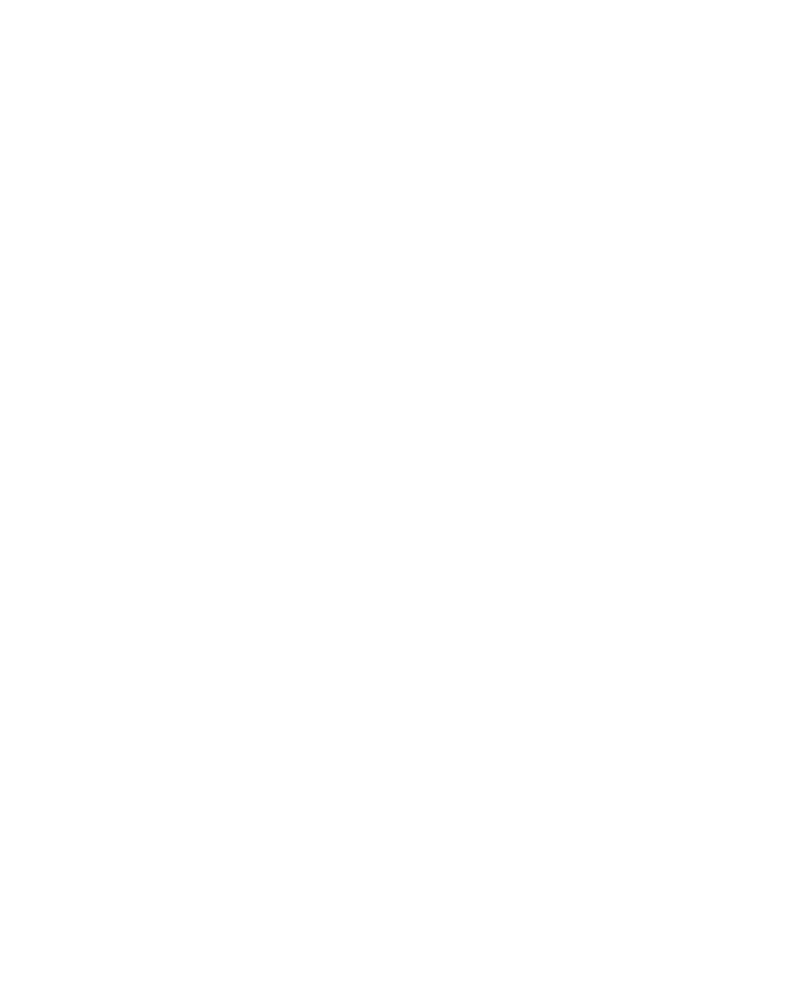 JAGUAPLAST
